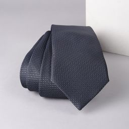 Allen Solly Men Printed Broad Tie-picture-5
