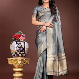 DIVASTRI Women 17878901 Solid Zari Organza Saree image 1