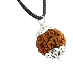 ShivaRatna 7 Mukhi Pure Silver Cap Nepali Rudraksha-picture-41