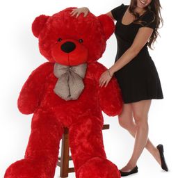 VEERA SOFT TOYS Kids Teddy Bears Soft Toys-picture-3