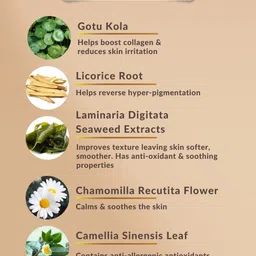 Repechage Biolight Brightening Toner with Laminaria Complex 180ml image 2