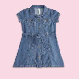 Pantaloons Junior Kids Blue Cotton Regular Fit Dress-image-13