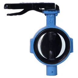 Leader 1-1/2 Inch, 40 mm Cast Iron Butterfly Valve CI 061B-picture-23