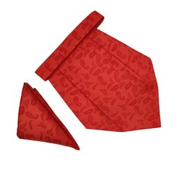 voici Paisley Design Cravats & Pocket Square Combo-picture-46