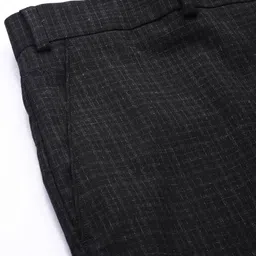 Park Avenue Men Checked Smart Fit Formal Trousers image 4