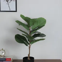 ARICK DECOR Green 1 Pieces Fig Artificial Plant With Pot-image-63