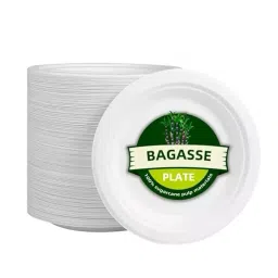 GENERIC 228.6 mm(9 Inch) Eco-friendly and Biodegradable Disposable Plates (Pack of 50) image 1