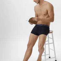 Ramraj Pack Of 4 Cotton Short Trunks VINTRK_NYGMCYGW-4P image 5