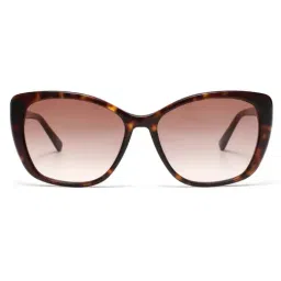 Tommy Hilfiger Brown Cat Eye Sunglasses for Women-picture-23