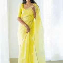 CaniBani Zari Handloom Banarasi Saree-picture-23