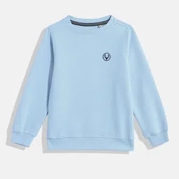 Allen Solly Junior Boys Textured Pullover Sweatshirt-picture-25