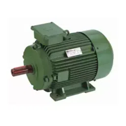 hindustan electric motors Hindustan 3 Phase 114/134 HP 4/2 Pole Foot Mounted Flame Proof Induction Motor 2FD5 310-4203-picture-36