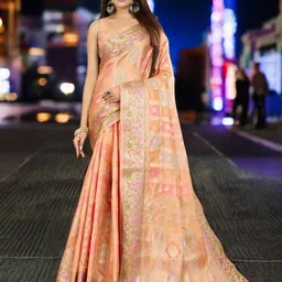 DIVASTRI Woven Design Zari Organza Banarasi Saree-image-63
