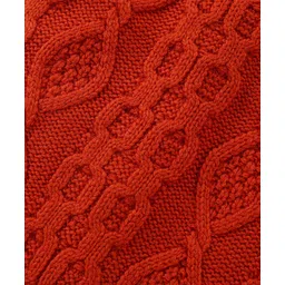 Babyhug Knitted Full Sleeves Collar Neck Pullover Sweater With Cable Knit Design - Rust image 4