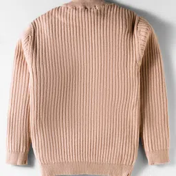 RVK Blended Knit Full Sleeves Ribbed Skivvy Sweater - Beige image 3