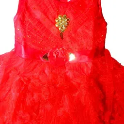 SHREEVASA Net Fit & Flare Dress image 3