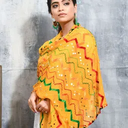 swatika Geometric Embroidered Thread Work Chiffon Dupatta image 2