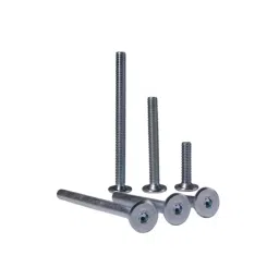 Ebco Bugle Head Allen Screw Zinc White Finish, Size M6x50 mm, BHAS-650 (Pack of 100) image 3