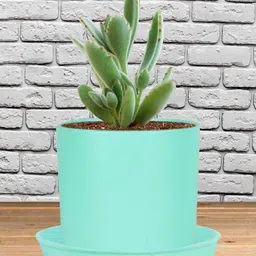 LASAKI Blue Ceramic Planter With Plate image 4