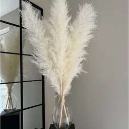 Arte Casa Pampas White - XL image 2