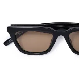 MacV Brown Polarised and UV Protected Lens Cat Eye Sunglasses for Women image 5