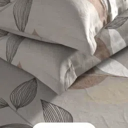 Kopa Grey & Multi Microfiber Floral 150 TC Double Bedsheet - Set of 4 image 3