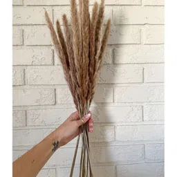 Arte Casa Mini Brown Pampas image 3