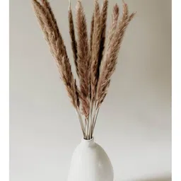 Arte Casa Mini Brown Pampas image 4