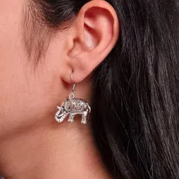 Hardin Style Animal Shaped Drop Earrings-picture-29
