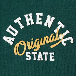 Babyhug Fleece Knit Full Sleeves Front Open Hooded Sweatshirt with Authentic Text Print & Kangaroo Pocket- Dark Green & Navy Blue image 5