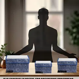 Aura Blue 2 Pieces Multi-Utility Organisers image 3