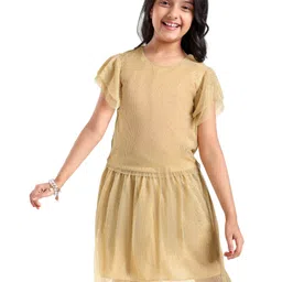 Pine Kids  Frill  Sleeves Shimmered Top & Skirt Set Solid Colour - Golden-picture-27