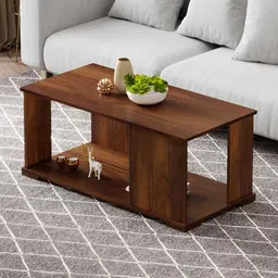 bluewud Noel Brown Textured Wooden Rectangle Coffee Table-picture-18