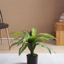 ARICK DECOR Green 1 Pieces Dracaena Artificial Plant With Pot-picture-32