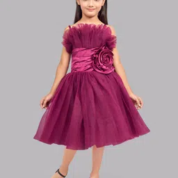 Pink Chick Girls Ruffled Tulle Net Fit & Flare Midi Dress-picture-17