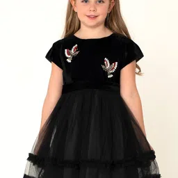 Cherry Crumble Girls Black Embellished Net & Velvet Finish Fit & Flare Dress-picture-56