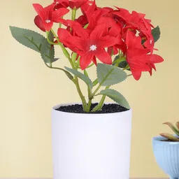 Kuber Industries Red & White Egyptian Starcluster Artificial Flower With Pot-picture-40