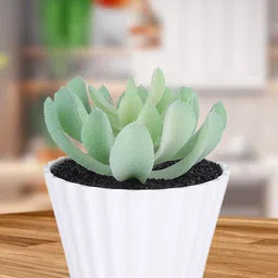 Kuber Industries Green & White Artificial Succulent Plant With Pot-picture-20