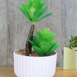 Kuber Industries Green & White Succulent Artificial Plant With Pot-picture-38