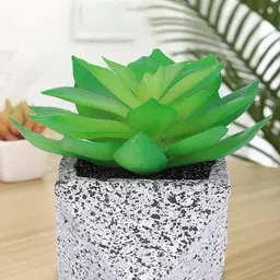 Kuber Industries Green & Grey Succulent Artificial Plant With Pot-picture-47