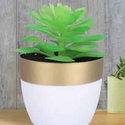 Kuber Industries Green & White Artificial Succulent Plant With Pot-picture-43