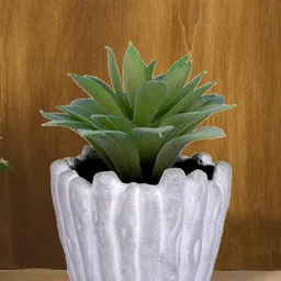 Kuber Industries Green & White Artificial Succulent Plant With Pot-picture-42