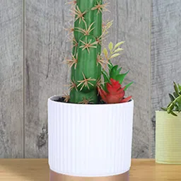 Kuber Industries Green & White Artificial Succulent Plant With Pot-picture-41