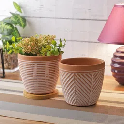 TAYHAA Set Of 2 Brown & White Textured Ceramic Planters-picture-34
