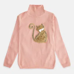 Pantaloons Junior Girls Peach-Coloured & Brown Embroidered Pullover-image-37