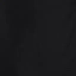 TWIN BIRDS Women Black Straight Fit Pleated Chinos Trousers-picture-11