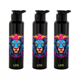 NIRLON Black 3 Pieces Printed Stainless Steel Single Wall Vacuum Water Bottles 1 L Each-picture-34