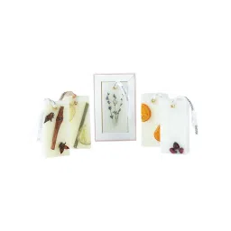 Rosemoore Sea Shell Scented Wax Tablet -Drawers, Closets, Rooms, Washroom image 4