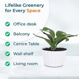 Ekhasa Green 1 Pieces Artificial Plant With Pot image 5