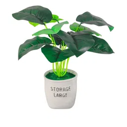 Dekorly Green Plastic Money Plant Artificial Flowers & Plants With Pot-image-36